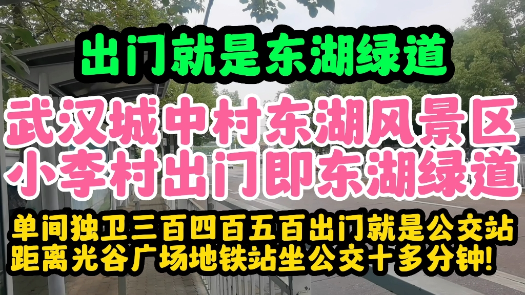 武汉城中村东湖风景区小李村出门就是东湖绿道坐公交到光谷广场地铁站十五分钟哔哩哔哩bilibili