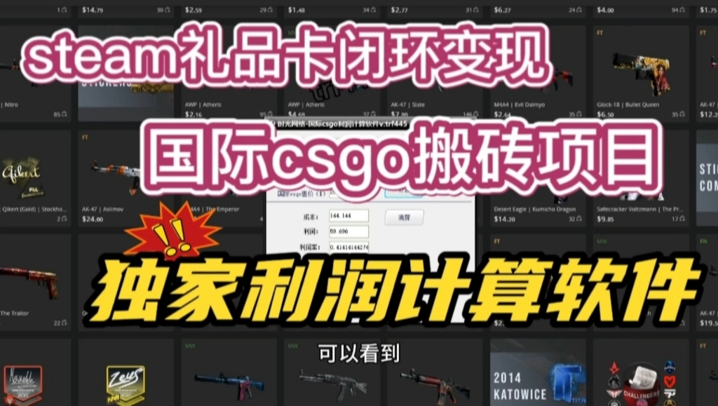 国际steam搬砖项目(steam礼品卡变现)csgo(cs2)游戏饰品装备倒卖,送独家利润计算软件,你不知道的有多好用!哔哩哔哩bilibili