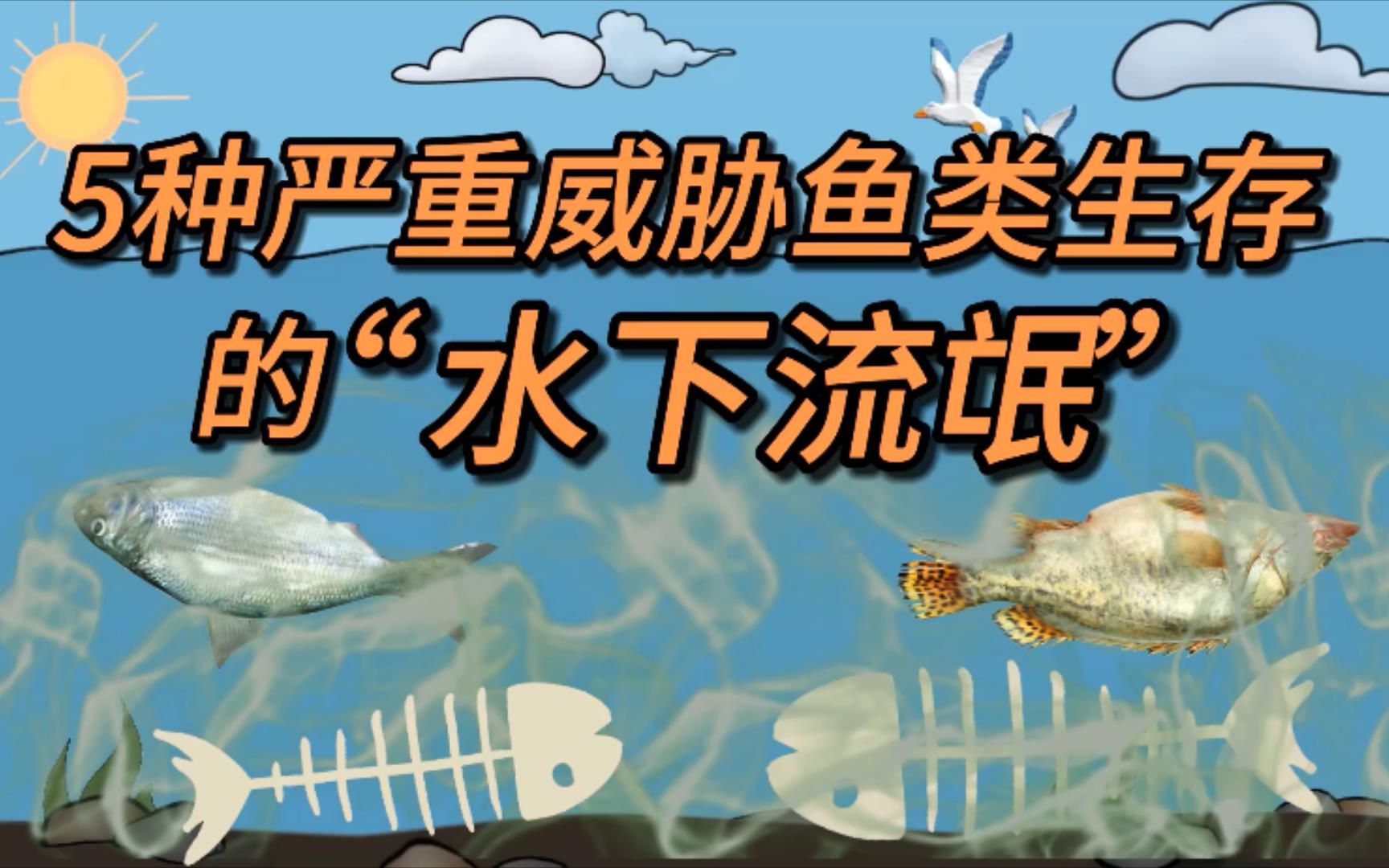 [图]盘点5种外来入侵的 “水下流氓”，威胁鱼类生存，钓鱼人恨之入骨