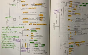 Download Video: 发疯学习｜你们说怼姨和岩姐会刷到我昨晚的视频嘛！