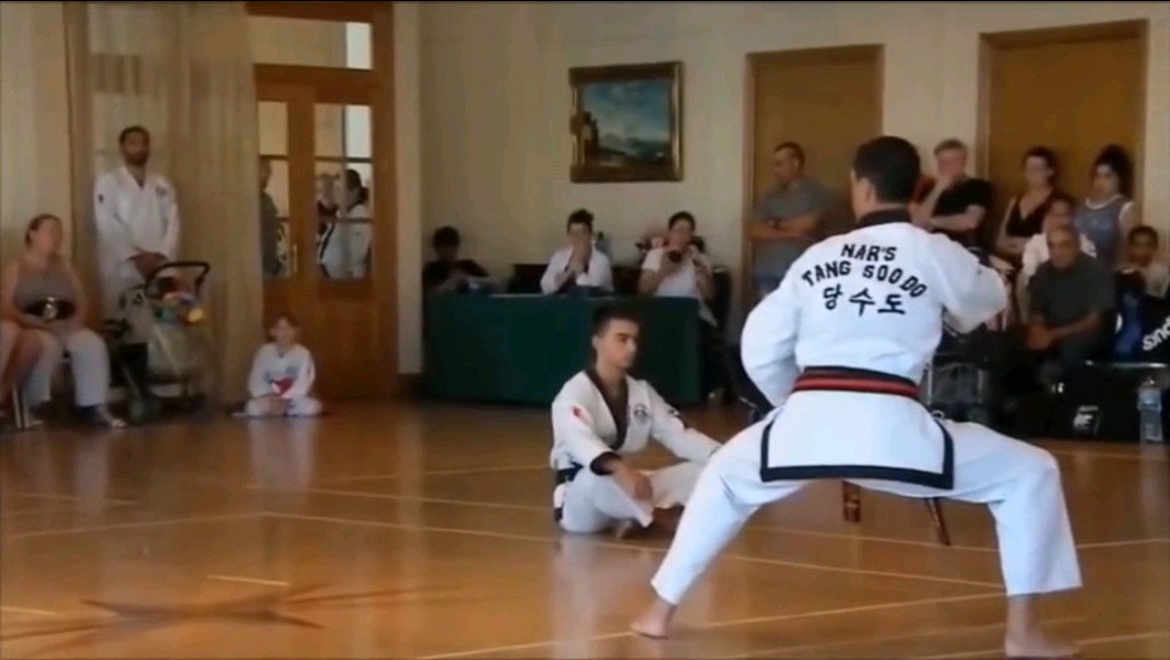 Tang Soo Do(唐手道)是韩国的一种格斗技,唐手道不是指琉球的唐手,而是韩国的其中一种武术.哔哩哔哩bilibili