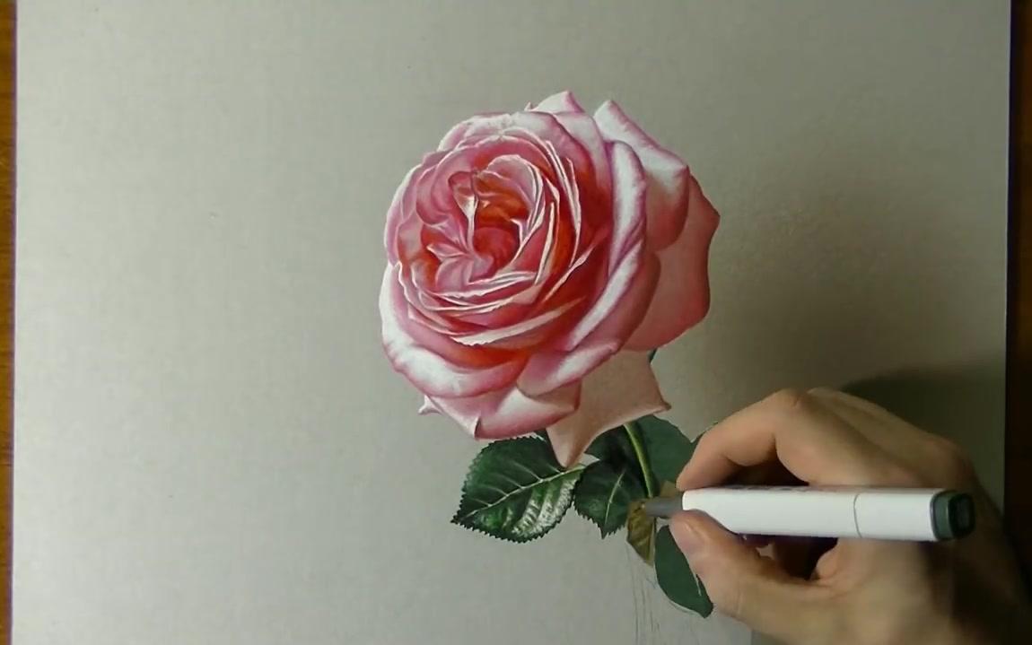 超写实3d立体手绘玫瑰花