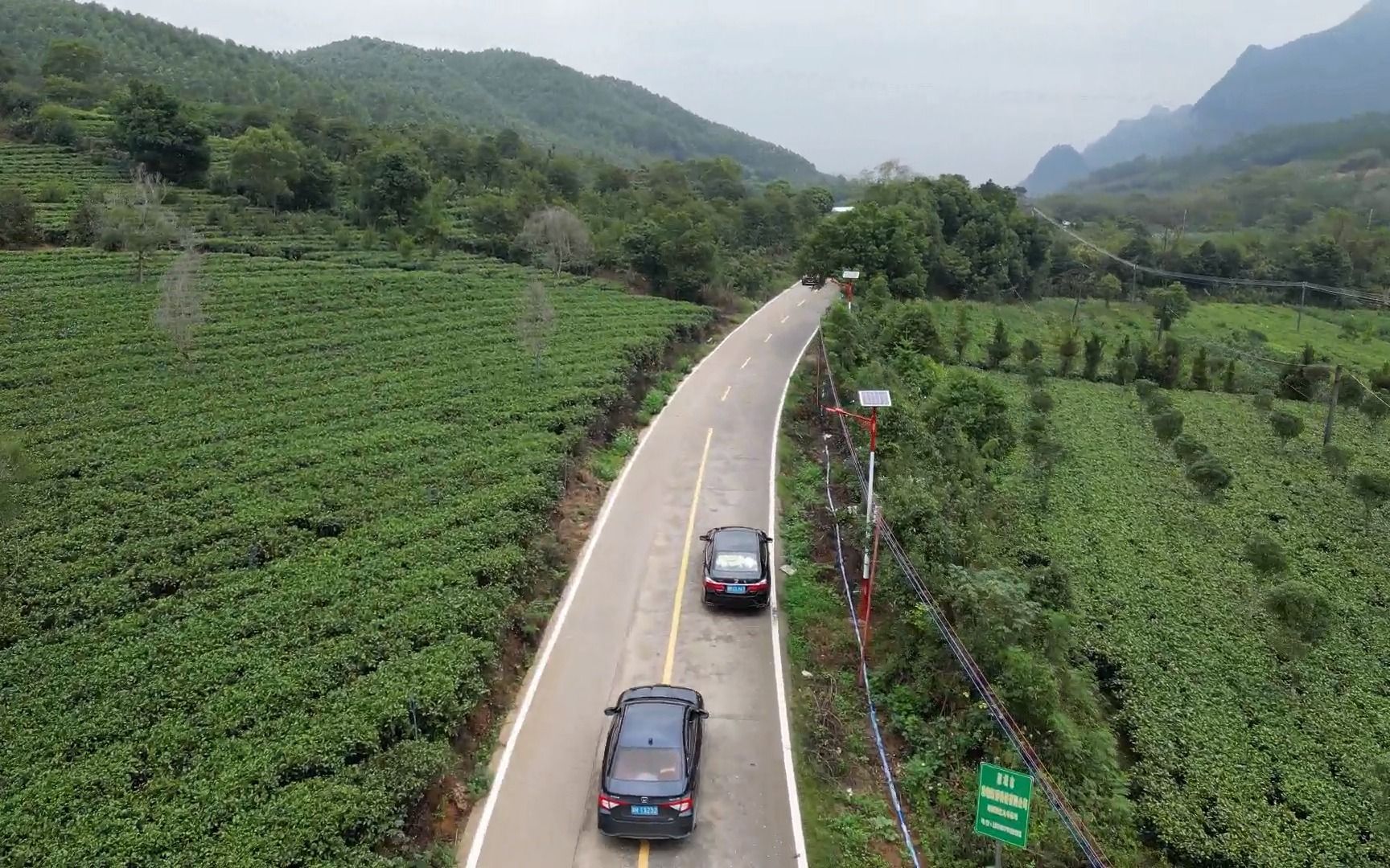 [图]乡间小路-茶乡行 茶香满地 竹林成荫-斯卡布罗集市（scarborough fair）