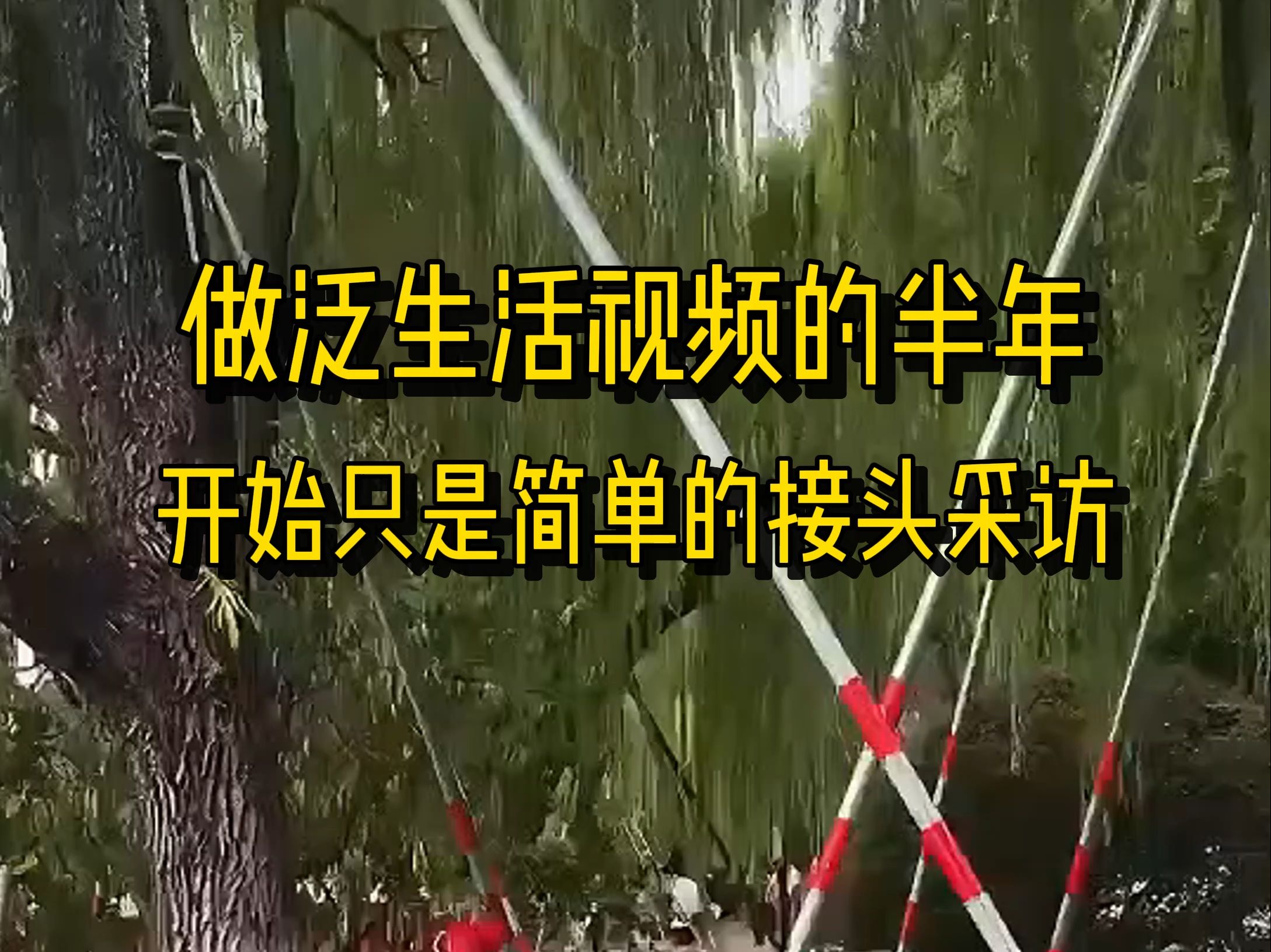 记录最近半年的时光,时间过得真的好快,今年就这么过完了,明年继续加油,希望2025对我们好点哔哩哔哩bilibili