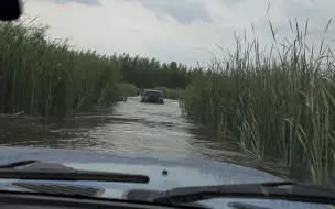 Скачать видео: 这地方水深一米多 真刺激