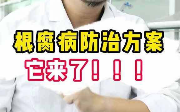 让农户朋友头疼的根腐病防治方案,它来了.哔哩哔哩bilibili