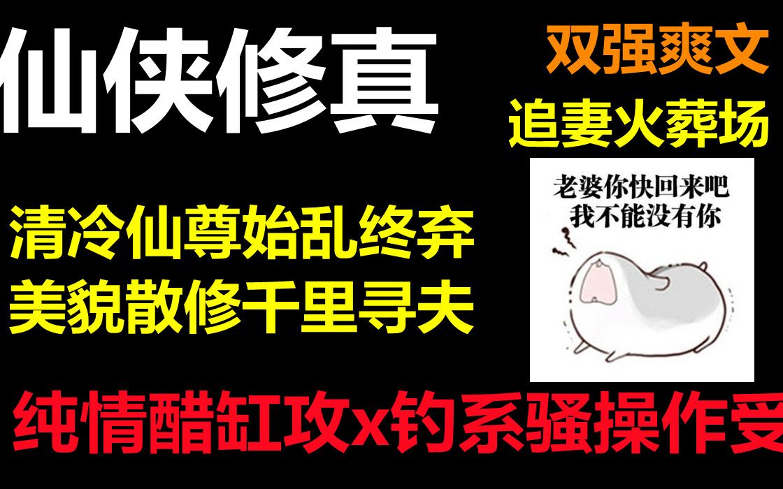 【推文】仙侠修真 || 追妻火葬场,清冷仙尊始乱终弃,美貌散修千里寻夫哔哩哔哩bilibili