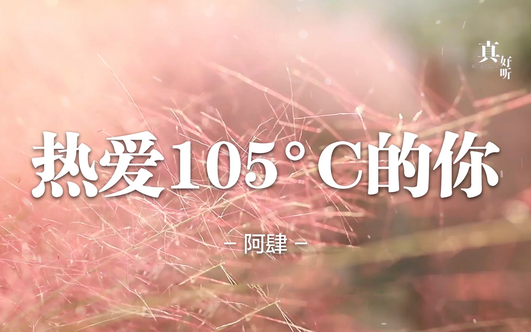 [图]阿肆 - 热爱105°C的你【完整版】动态歌词LyricsVideo | 高音质