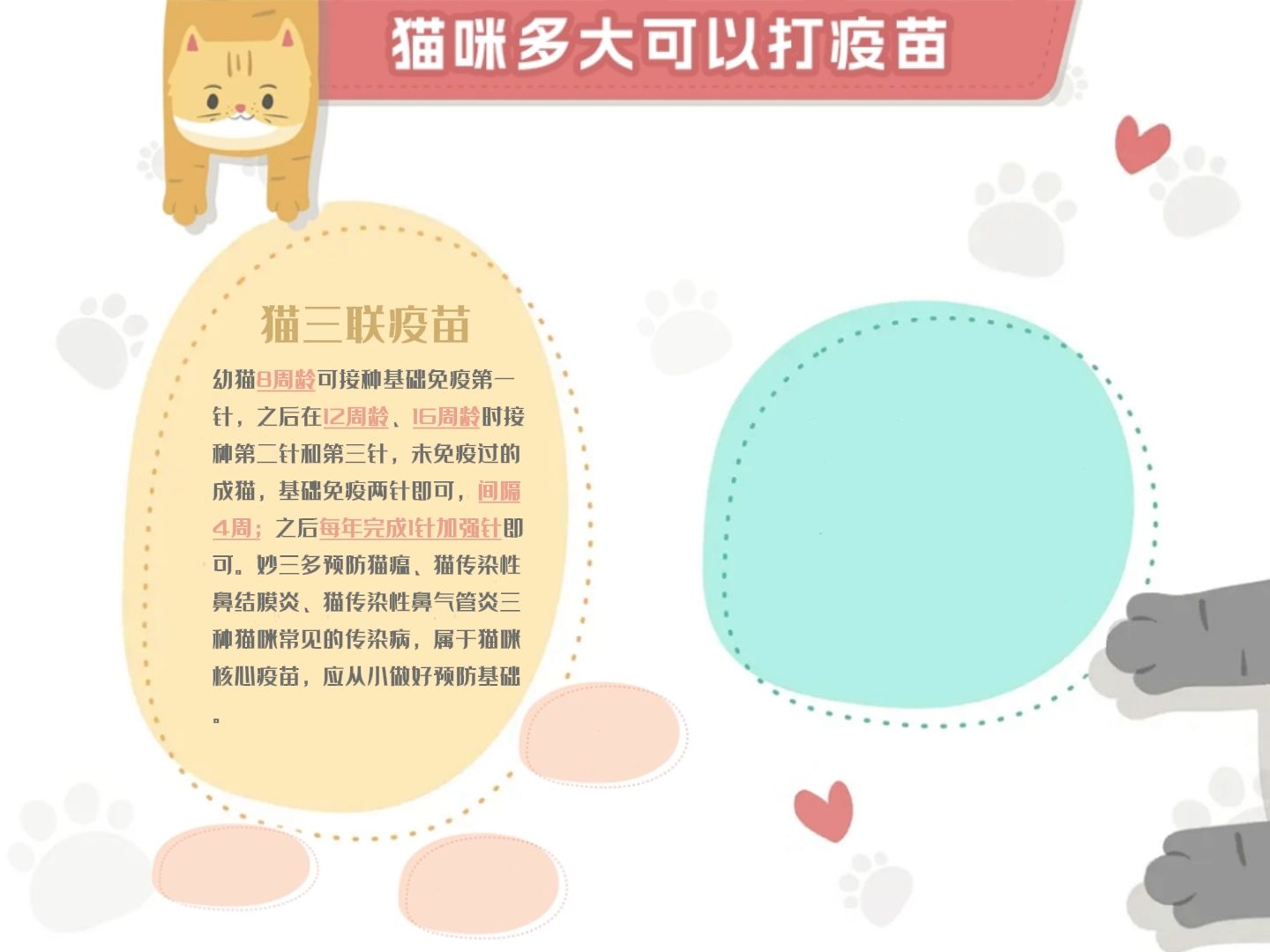 猫咪多大可以打猫疫苗,猫三联接种周期是多久哔哩哔哩bilibili