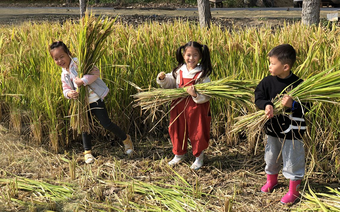 [图]秋收啦！我带孩子们在地里上了一堂自然课……