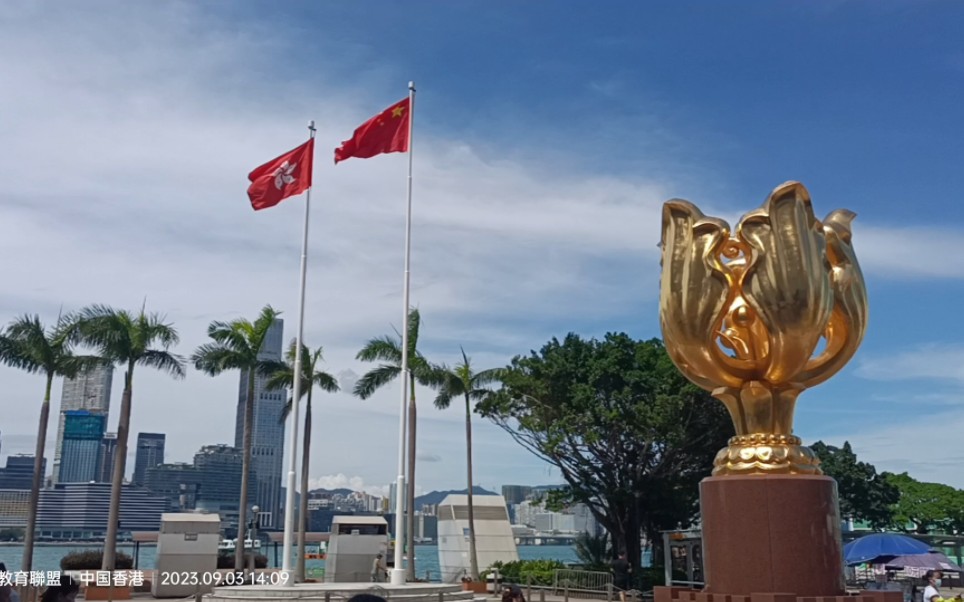 香港紫金花广场图片