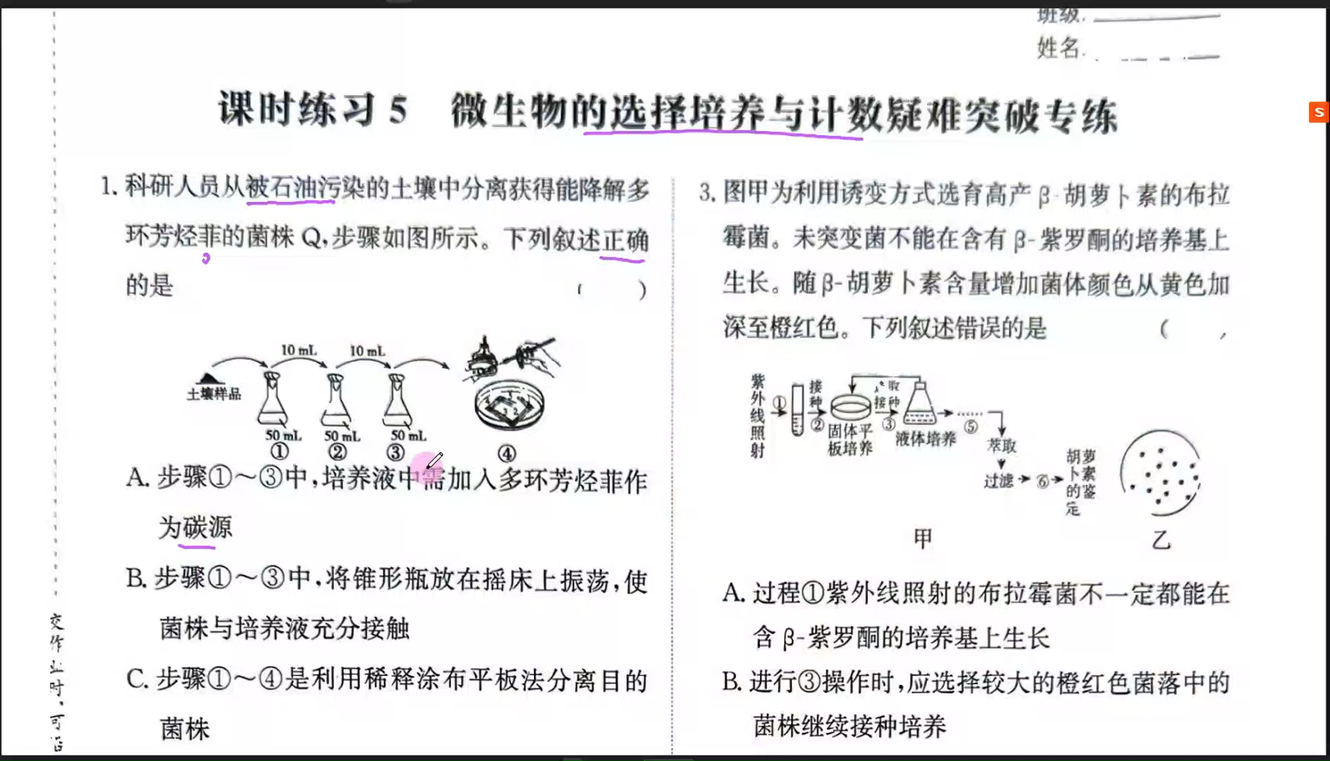 【2024生物学选择性必修3合集】课时5 疑难突破 微生物的选择培养和计数 人教版新高考新课标网课知识点讲解高中生物莫西老师哔哩哔哩bilibili