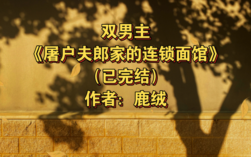 双男主《屠户夫郎家的连锁面馆》已完结 作者:鹿绒,爱财受vs冷面屠户攻,主受 强强 穿越时空 种田文 甜文 古代历史【推文】晋江哔哩哔哩bilibili