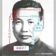 下载视频: 反对我，支持我