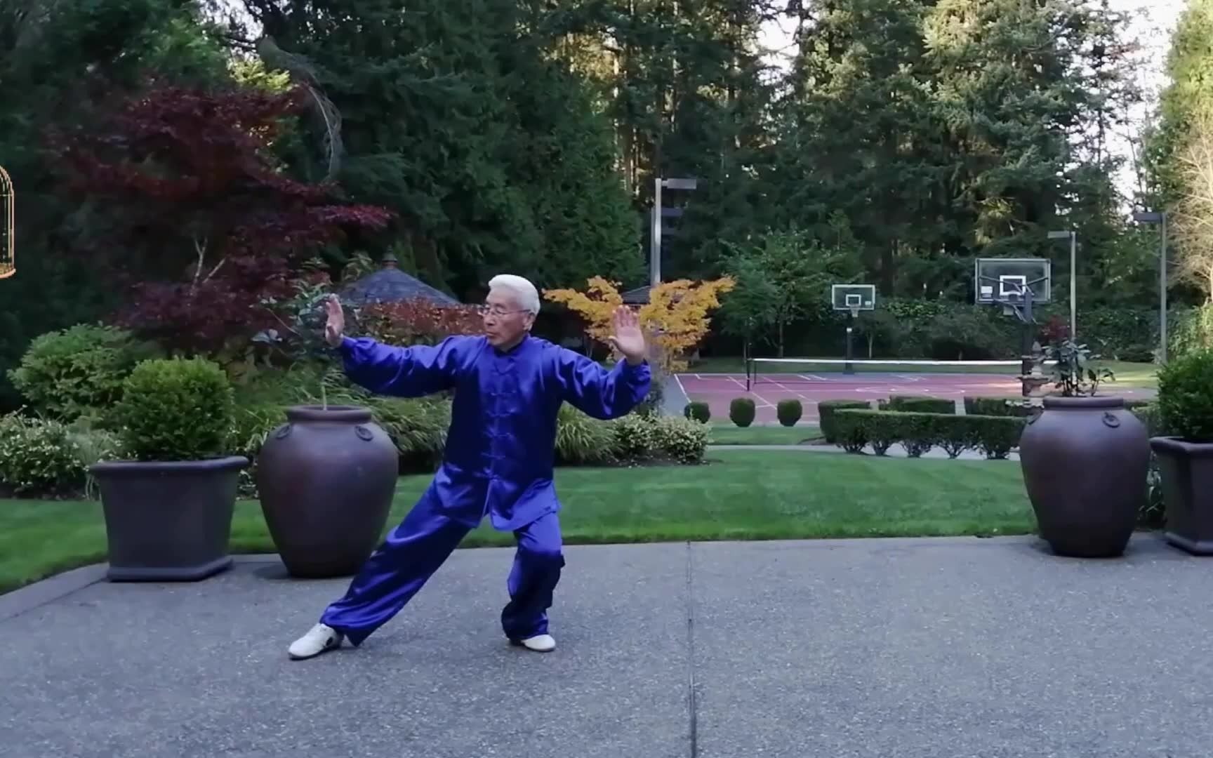 武术《孙氏太极拳73式》