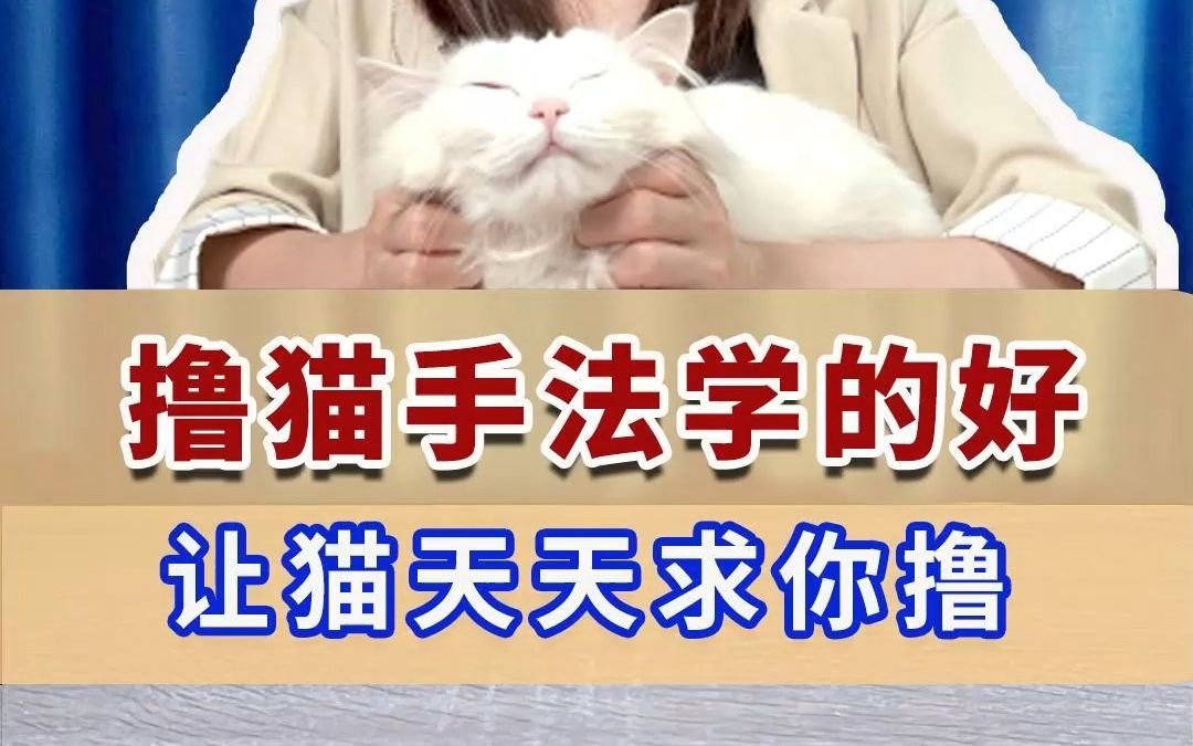 [图]撸猫手法学的好，让猫天天求你撸！