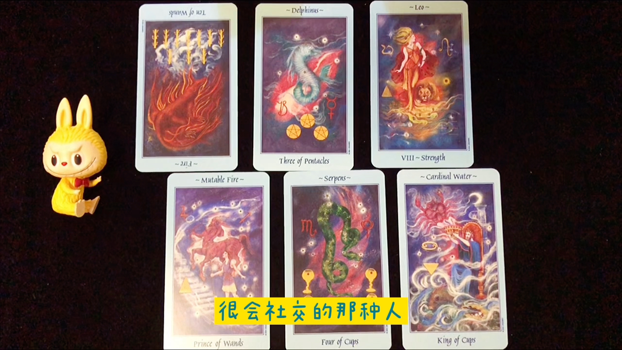 塔罗喵kiki:来看看你下一任的特征!