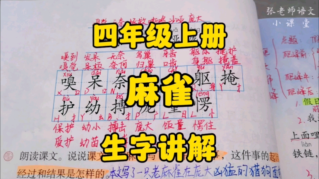 四年级上册:《麻雀》生字讲解,学习生字的不同方法你掌握了几种?哔哩哔哩bilibili