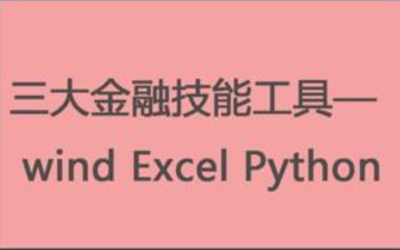 [图]三大金融工具特训班——Wind、Excel、Python(完结)