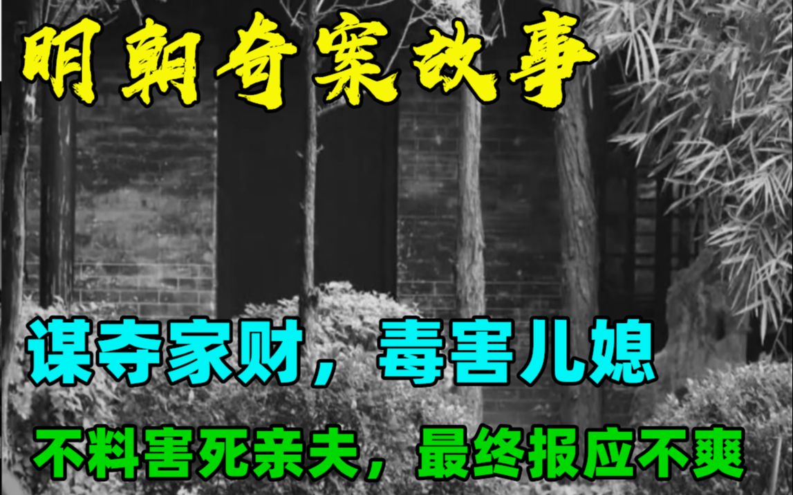 明朝奇案故事:谋夺家财,一杯毒酒敬儿媳,不料害死亲夫,最终报应不爽哔哩哔哩bilibili