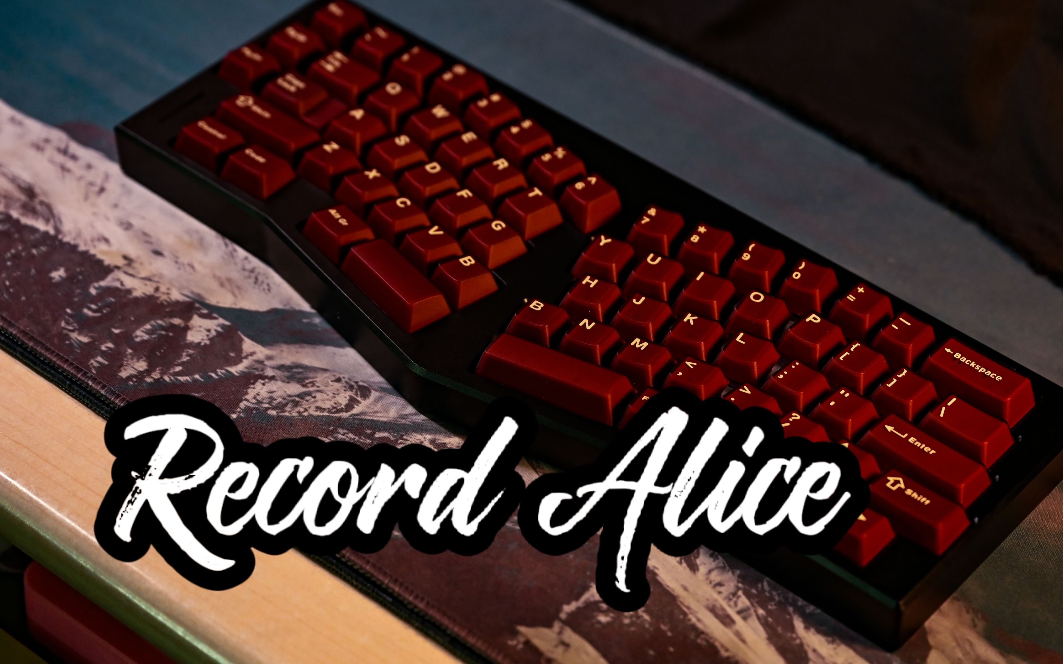 来听一首vintage record吧|维咖record alice沉浸式开箱组装 |风信子