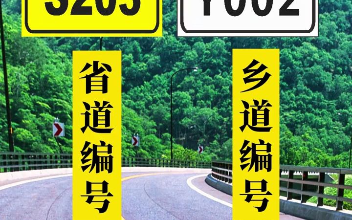 乡村道路标志代号图片