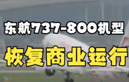 [图]停飞近一个月后，东航恢复波音737-800机型商业运营