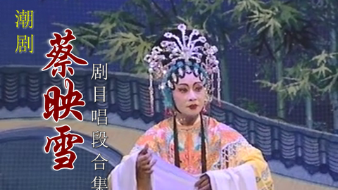 蔡善仪