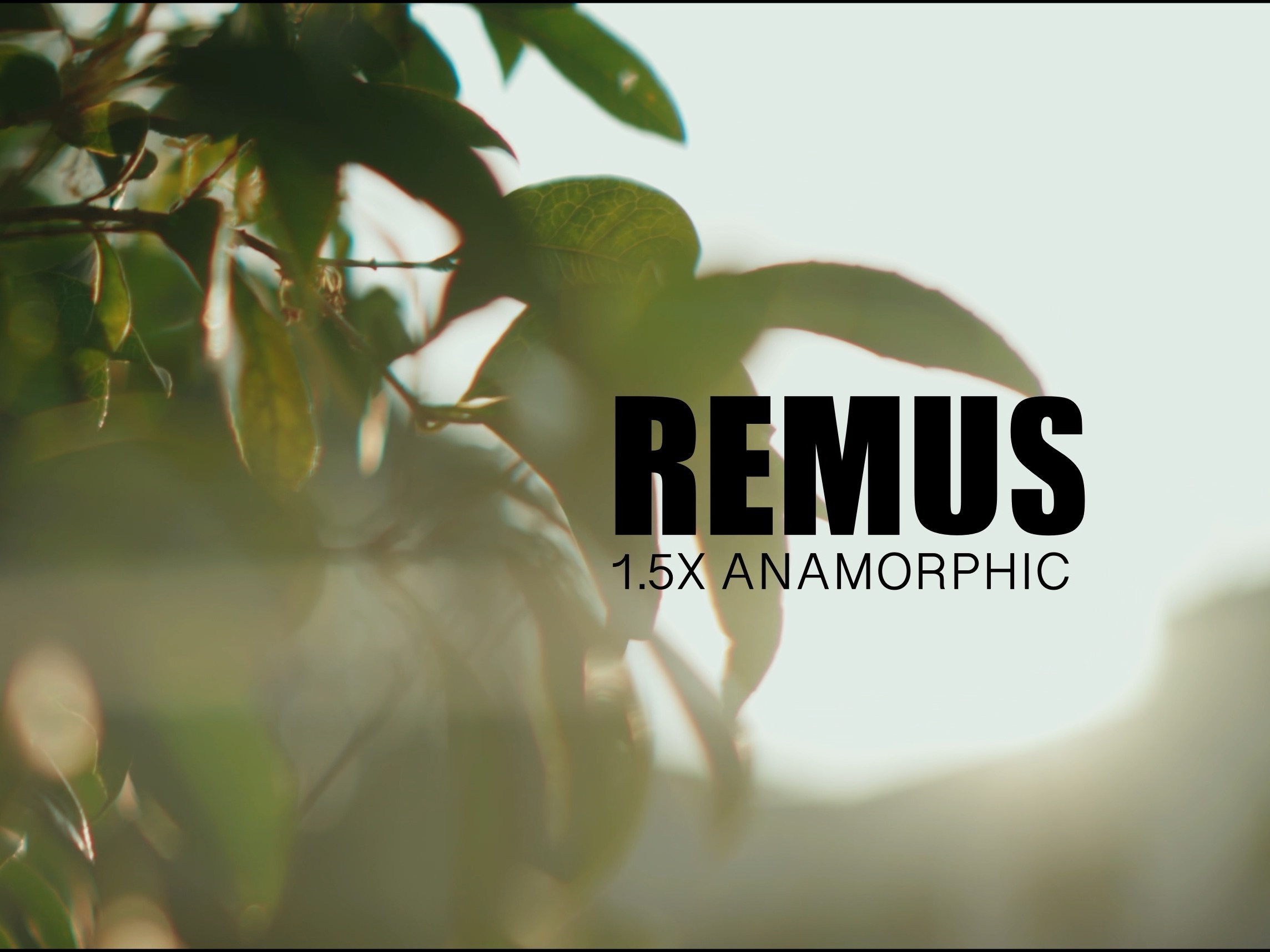 至乐remus 1.5变形宽银幕镜头 65mm t2 无意义扫街哔哩哔哩bilibili