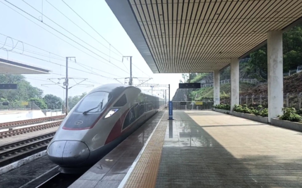 【临客列车】cr400af-a-2194担当长沙南-深圳北g9639次进清远站2站台