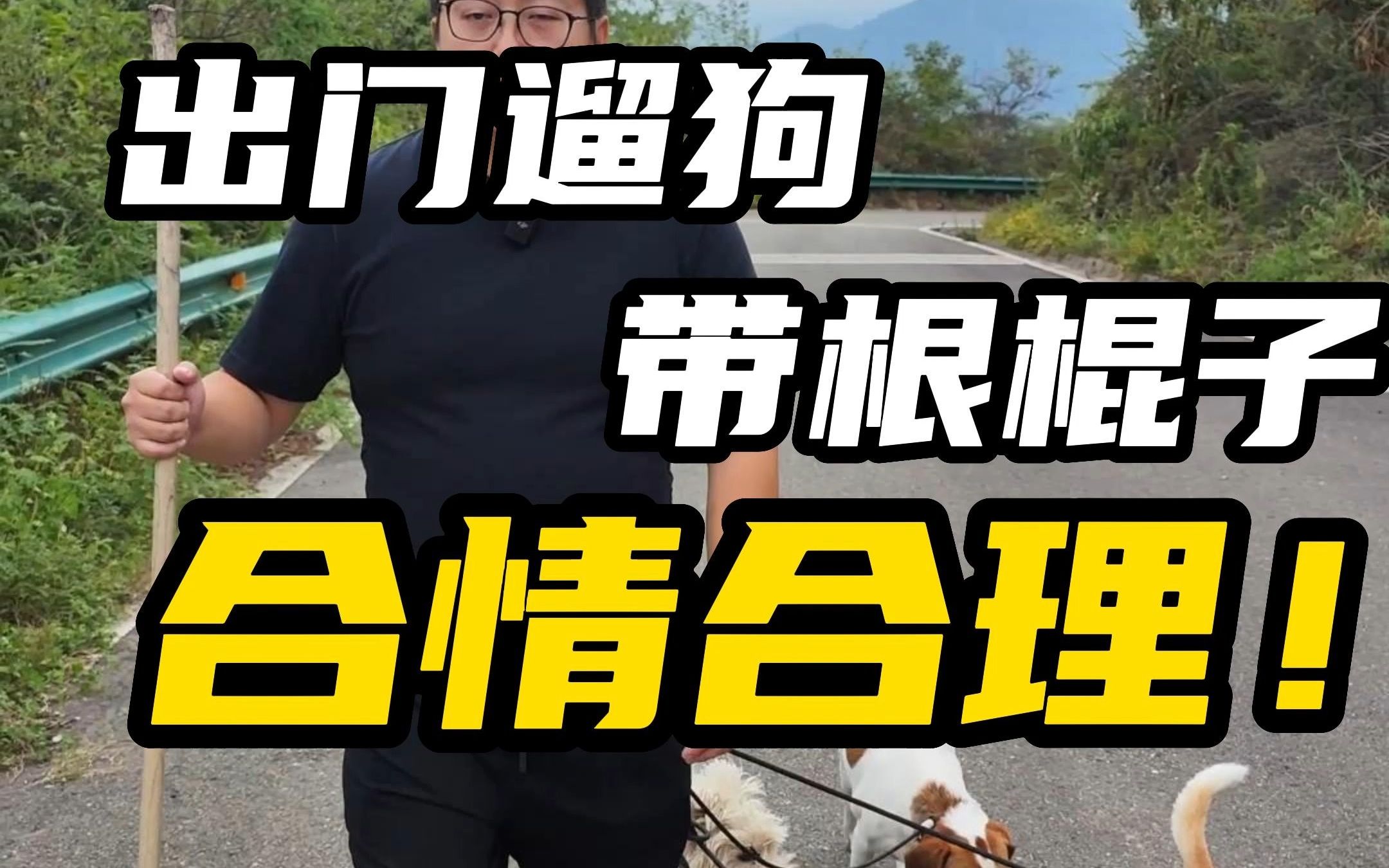 别的不多说,这款少林棍,我们用了两三年,无数从次＂恶犬＂中挽救了同事们的手,很多家长也在用,很推荐哔哩哔哩bilibili