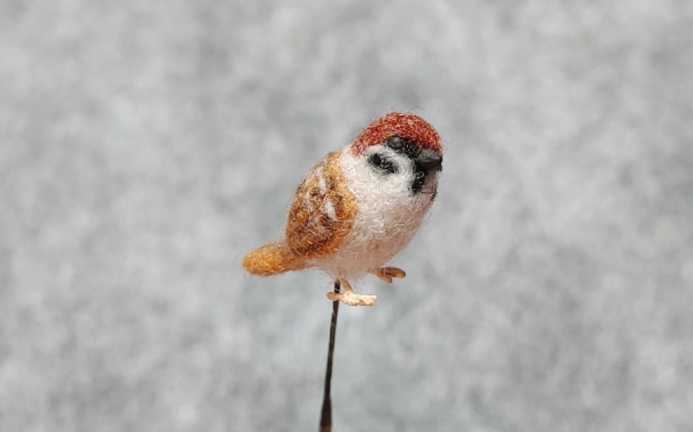 活动  羊毛毡小鸟,迷你小麻雀制作(省略一百张图)的过程