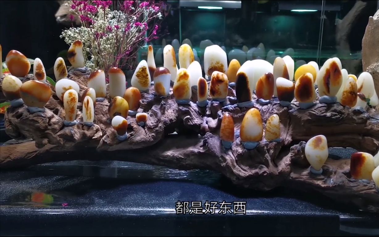 石头老纪带你开开眼,你觉得他有夸张吗?