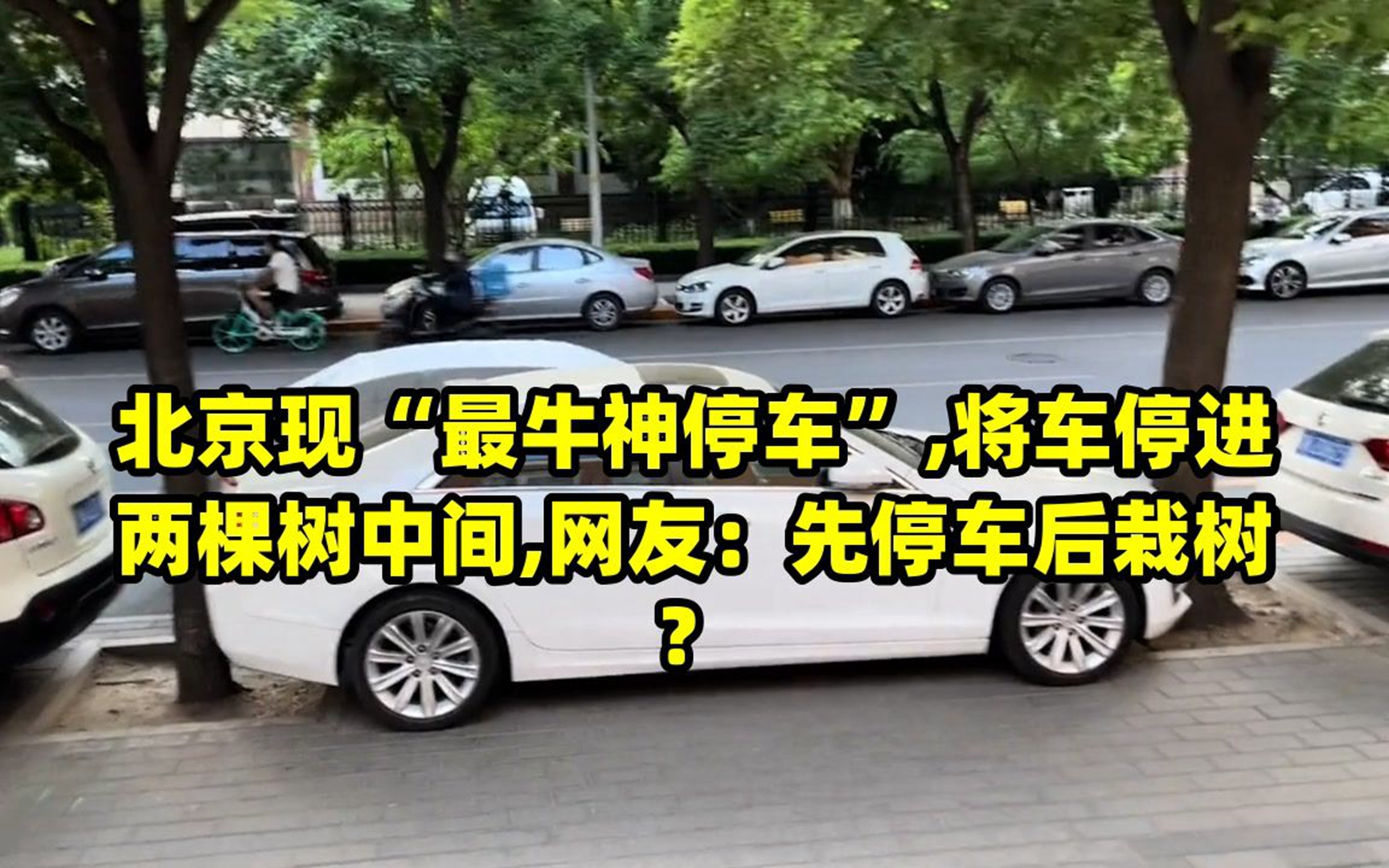 北京现"最牛神停车",将车停进两棵树中间,网友:先停车后栽树?