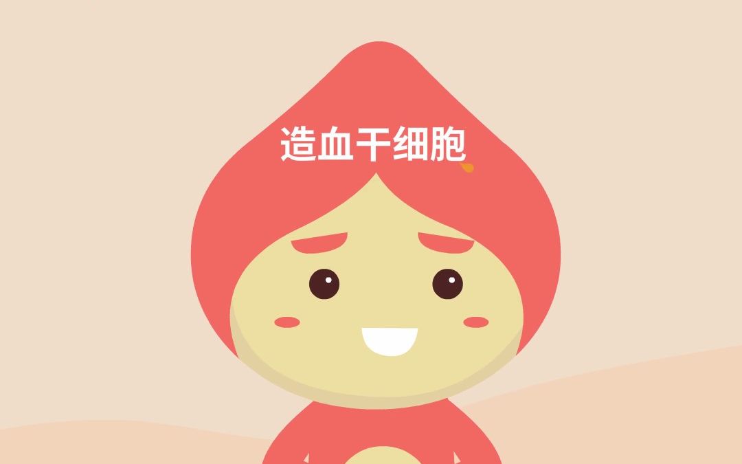 造血干细胞捐献知识小动画五集上海市嘉定区红十字会