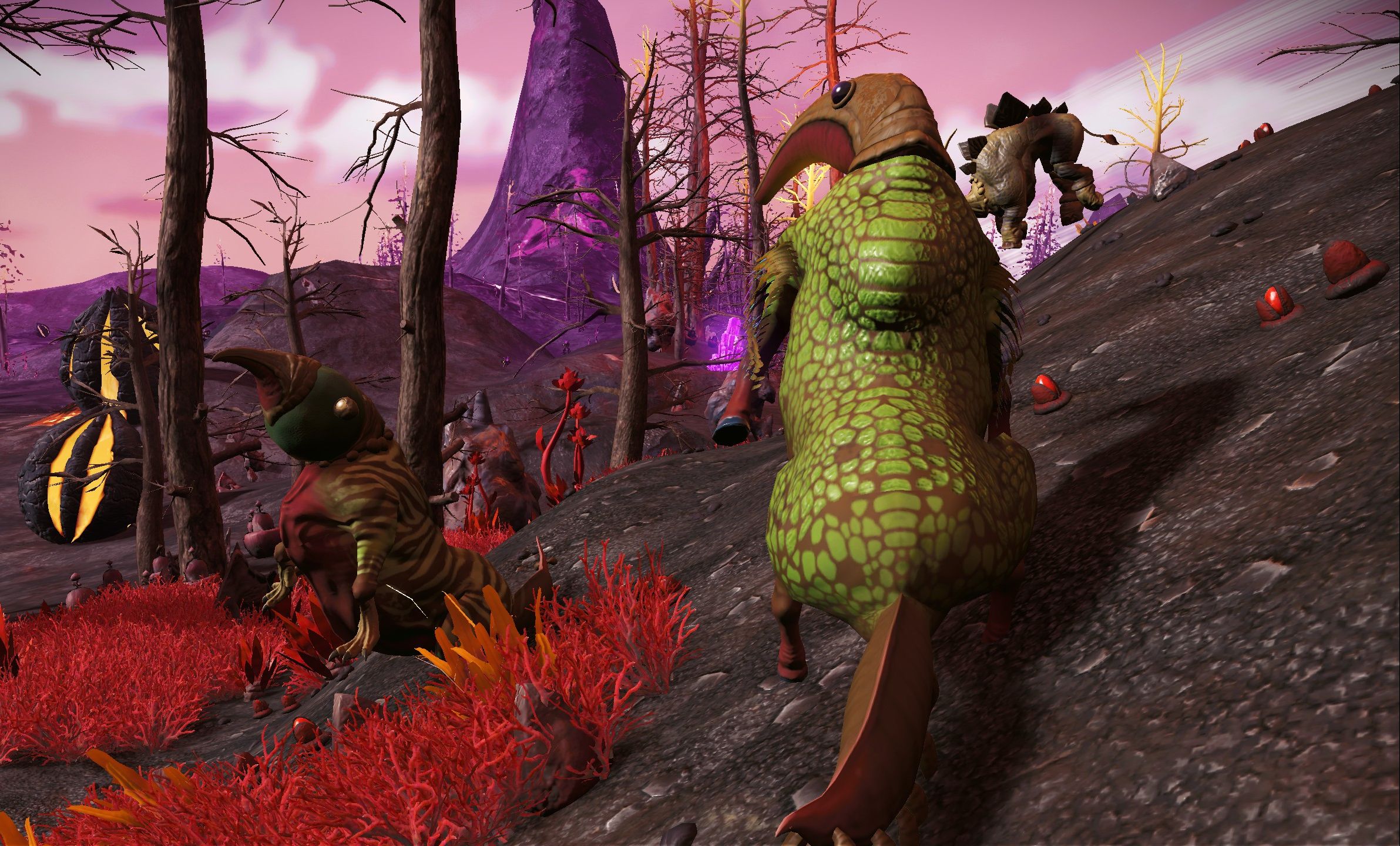 【无人深空】奇怪生物——迷人的小眼睛?