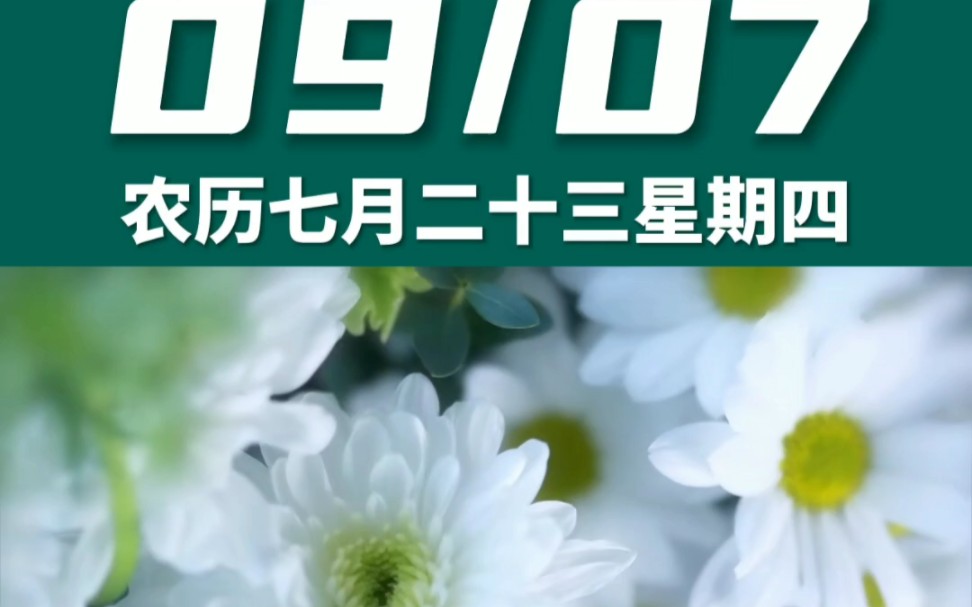 早上好啊今天是2023年9月7日星期四 处女座农历七月二十三 戊辰日十二建除的成日 金匮黄道日,喜神在东南 财神在正北幸运数字:4、5哔哩哔哩bilibili