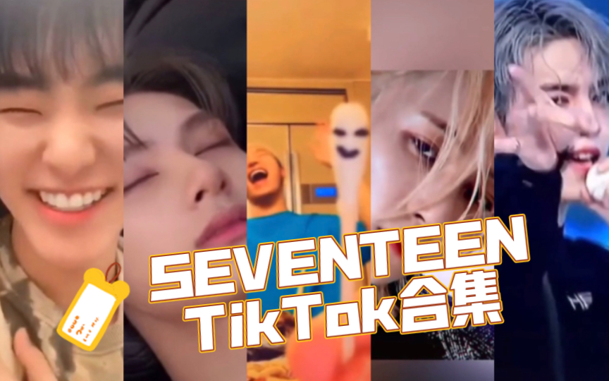 [图]【SEVENTEEN】TikTok上的超高赞合集（十二）次皮：有我这样的爱豆，你几点回家？