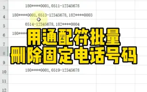 Tải video: 用通配符批量删除固定电话号码