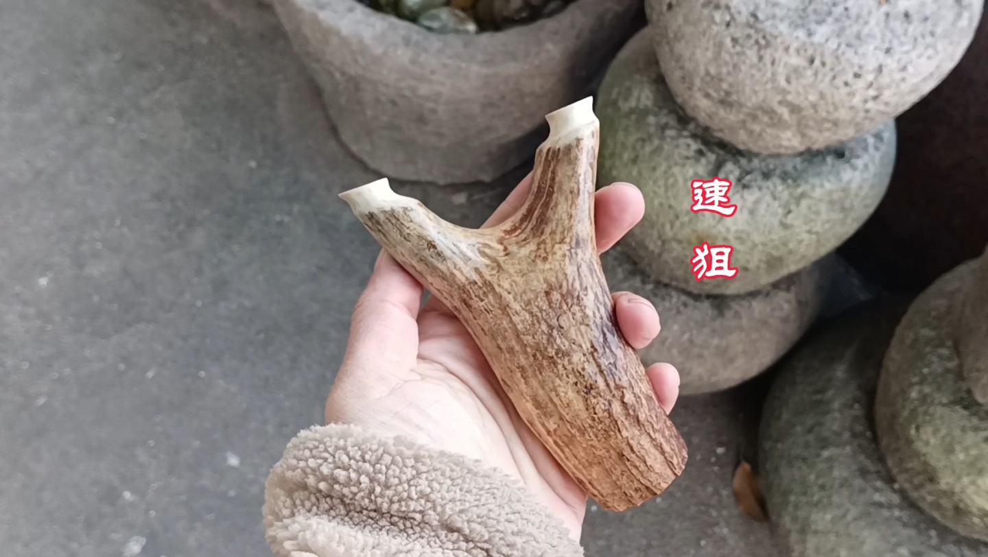 开始上了啊,手感相当好的鹿角弹弓一把,天然反曲贴合手型,85 15规格.