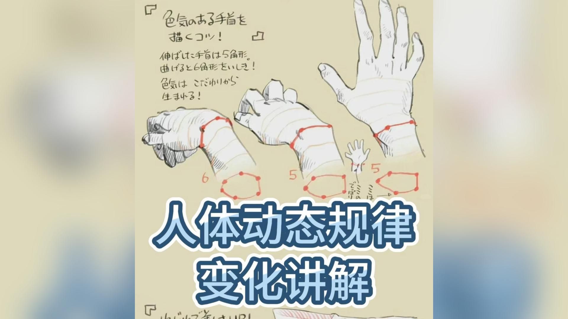 吐血整理!超级干货!不会画人体的你有福啦!下田スケッチ大佬近600P人体速写参考!【板绘 绘画资料 插画】哔哩哔哩bilibili