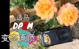 Download Video: 【画质恐怖到不能拍妹的相机】适马sigma dp2 Merrill