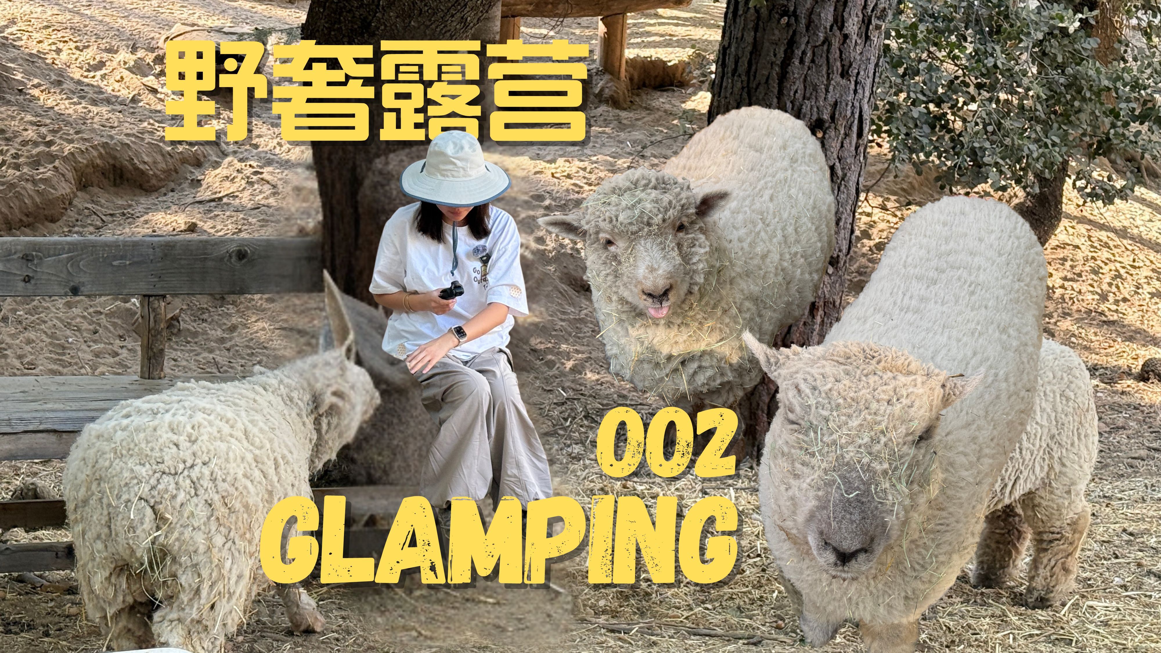 乘叶出发|野奢露营Glamping体验3天2夜|⛺️𐟎㰟‘0021哔哩哔哩bilibili