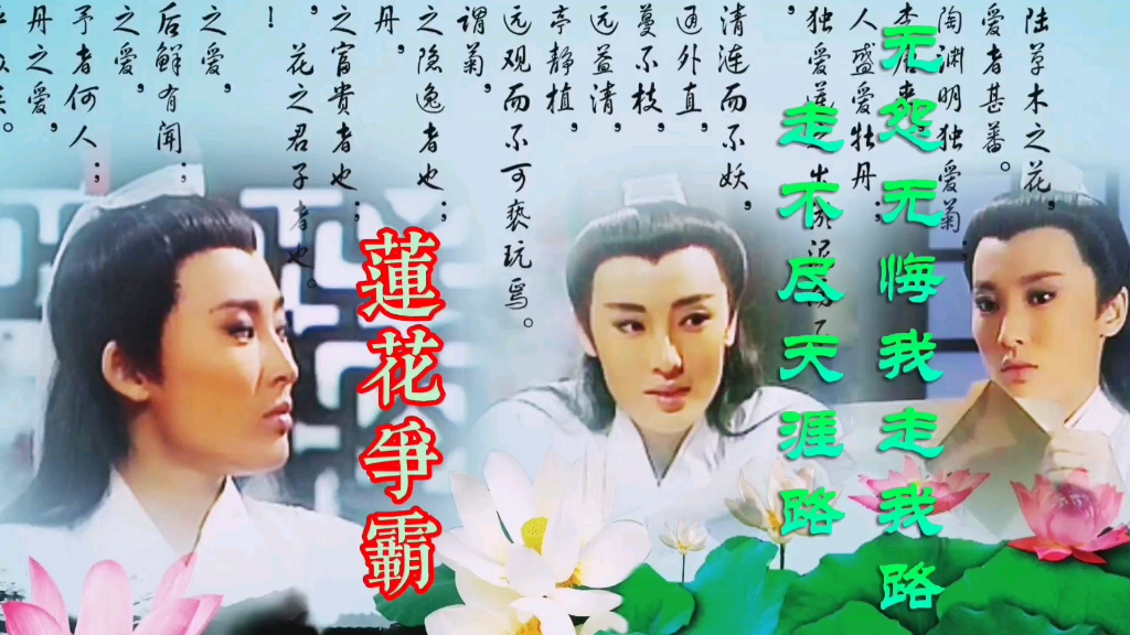 1994新加坡经典怀旧武侠莲花争霸沈冲南宫蝶白玉川