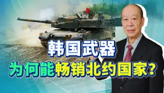 不向美国买，波兰大肆从亚洲引进军火，韩国武器为何成香饽饽？