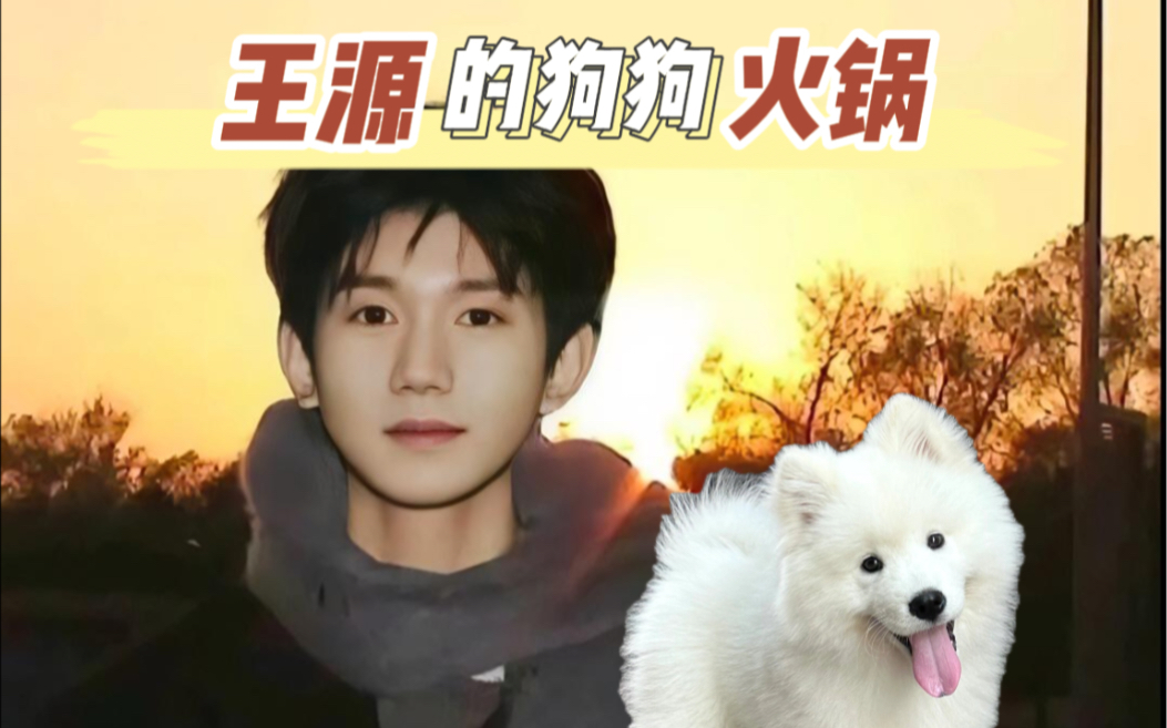 王源的小狗火锅!
