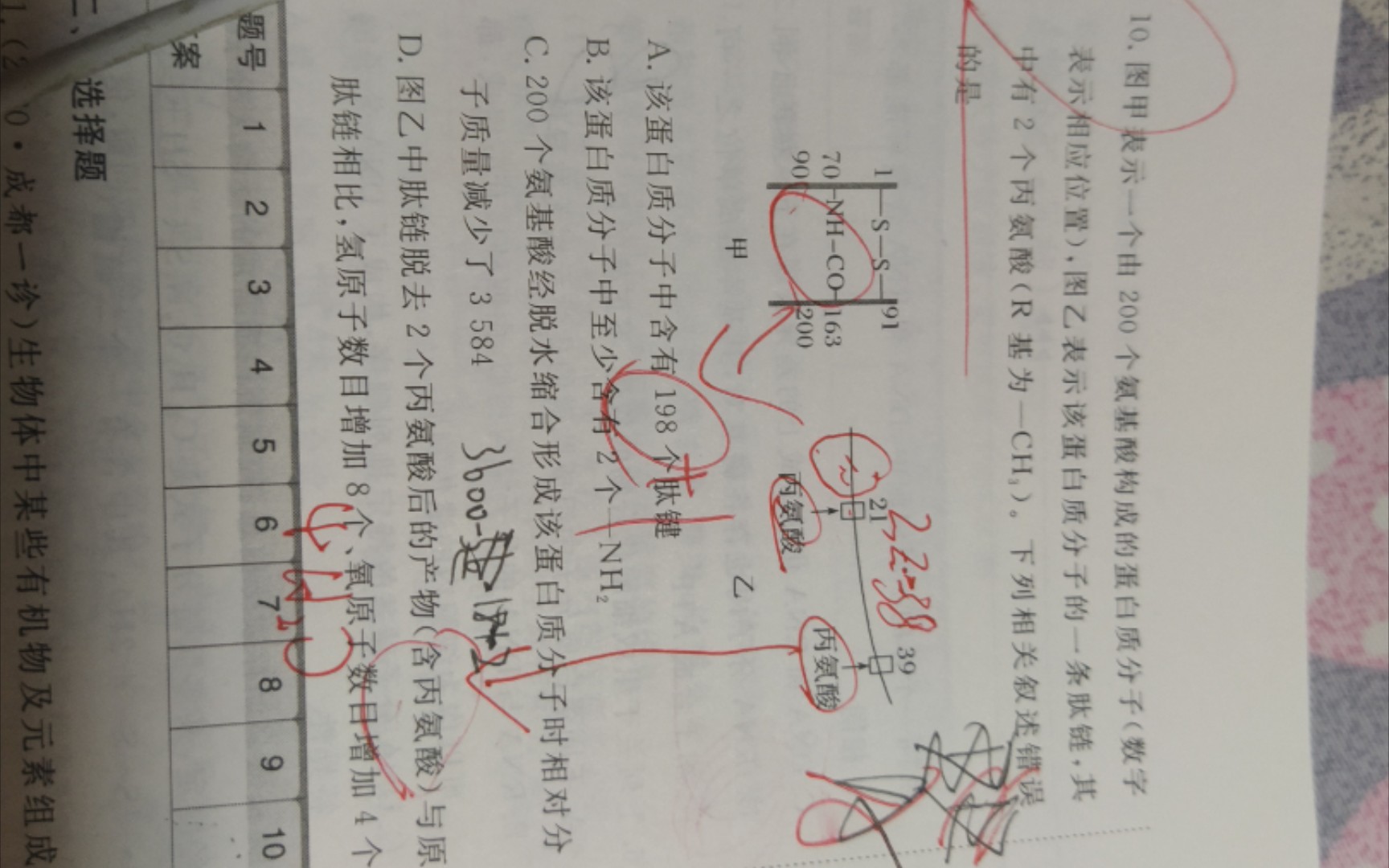 肽键数量怎么才能数清?高考连续第十八天自省打卡哔哩哔哩bilibili