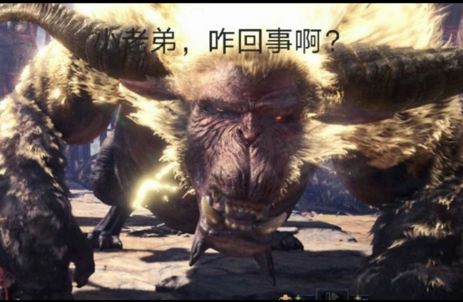 【monster hunter】怪物猎人表情包