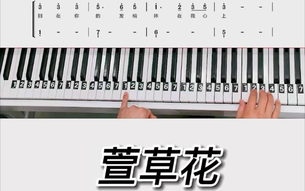 萱草花钢琴教学零基础版双手钢琴简谱教程来咯完整版已完成