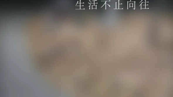 夜晚的美景哔哩哔哩bilibili